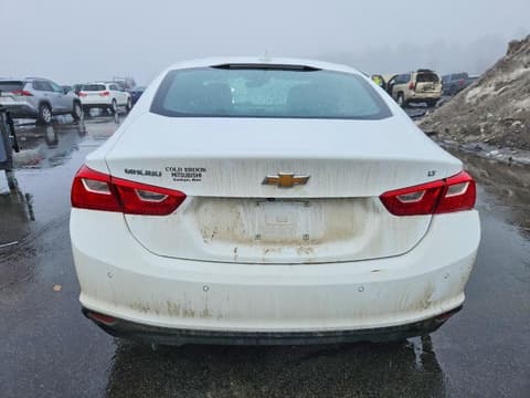 2023 Chevrolet Malibu Limited, VIN 1G1ZD5STXPF194472. Фото 6 з 6 з аукціону Copart. Каталог авто зі США OpenDataCar.