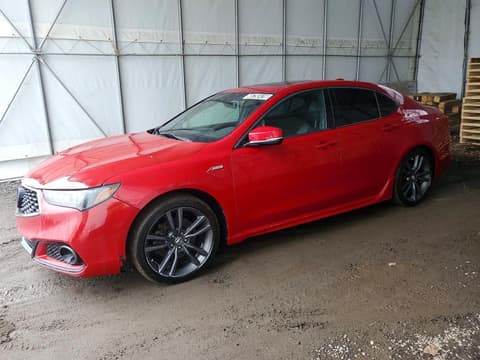 2019 Acura TLX, VIN 19UUB3F65KA800042. Фото 1 з 6 з аукціону Copart. Каталог авто зі США OpenDataCar.