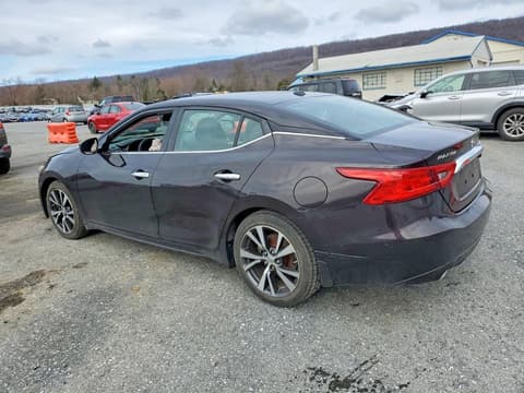 2017 Nissan Maxima, VIN 1N4AA6AP7HC407118. Фото 2 з 6 з аукціону Copart. Каталог авто зі США OpenDataCar.