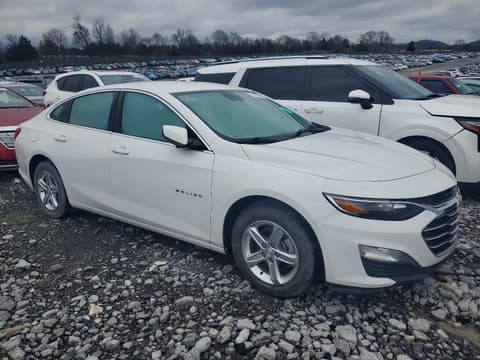 2020 Chevrolet Malibu, VIN 1G1ZC5ST9LF136401. Фото 4 з 6 з аукціону Copart. Каталог авто зі США OpenDataCar.