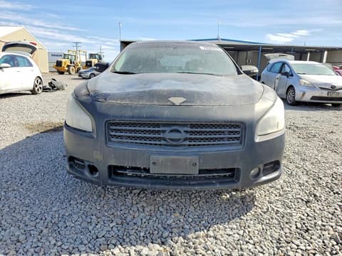 2010 Nissan Maxima, VIN 1N4AA5AP6AC808949. Фото 5 з 6 з аукціону Copart. Каталог авто зі США OpenDataCar.