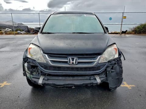 2010 Honda CR-V, VIN 5J6RE3H31AL019448. Фото 5 з 6 з аукціону Copart. Каталог авто зі США OpenDataCar.