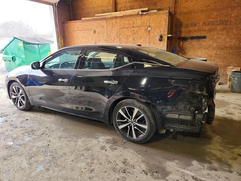 2023 Nissan Maxima, VIN 1N4AA6CV8PC511353. Фото 2 з 6 з аукціону Copart. Каталог авто зі США OpenDataCar.