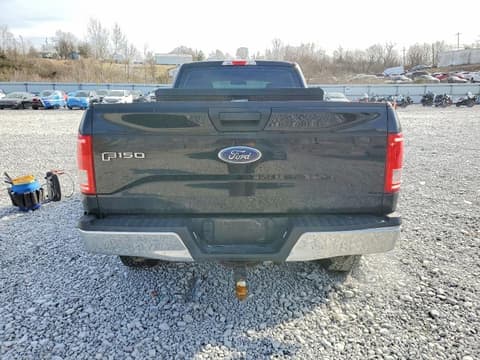 2017 Ford F-150 Lightning, VIN 1FTMF1EF4HKC59125. Zdjęcie 6 z 6 z aukcji Copart. Katalog aut z USA OpenDataCar.