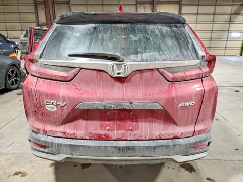 2020 Honda CR-V, VIN 5J6RW2H22LL004202. Фото 6 з 6 з аукціону Copart. Каталог авто зі США OpenDataCar.