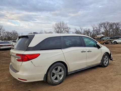 2019 Honda Odyssey, VIN 5FNRL6H71KB036755. Фото 3 з 6 з аукціону Copart. Каталог авто зі США OpenDataCar.