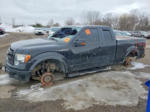 2013 Ford F-150, VIN 1FTFX1EF2DFB25206. Фото 1 з 6 з аукціону Copart. Каталог авто зі США OpenDataCar.