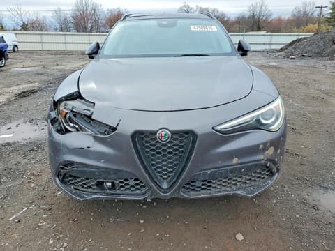 2021 Alfa romeo Stelvio, VIN ZASPAKBN0M7D09519. Фото 5 з 6 з аукціону Copart. Каталог авто зі США OpenDataCar.