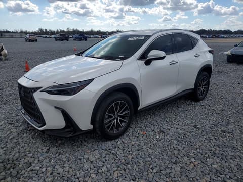 2024 Lexus NX 250, VIN 2T2GDCAZ6RC012279. Фото 1 з 6 з аукціону Copart. Каталог авто зі США OpenDataCar.