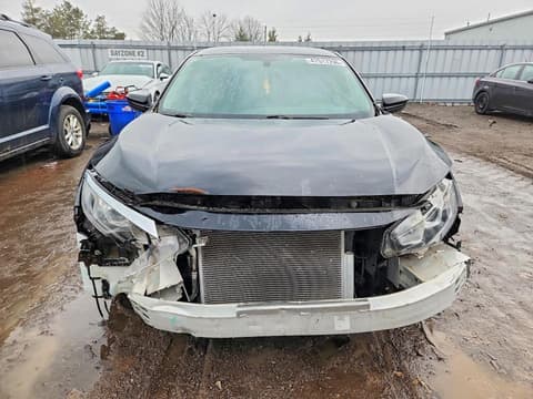 2017 Honda Civic, VIN 2HGFC2F52HH007539. Фото 5 з 6 з аукціону Copart. Каталог авто зі США OpenDataCar.