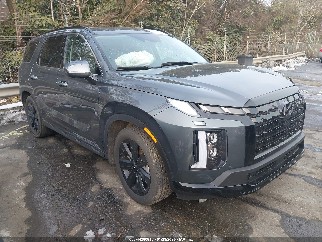 2025 Hyundai Palisade, VIN KM8R34GE4SU946312. Фото 1 з 6 з аукціону IAAI. Каталог авто зі США OpenDataCar.