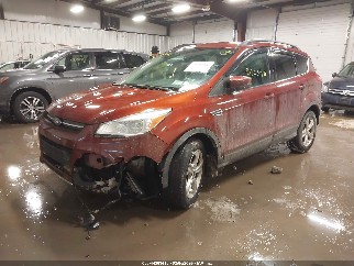 2014 Ford Escape, VIN 1FMCU0GX7EUC17318. Фото 2 из 6 с аукциона IAAI. Каталог авто из США OpenDataCar.