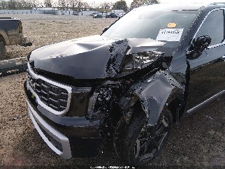 2024 Kia Telluride, VIN 5XYP6DGC0RG475255. Фото 6 з 6 з аукціону IAAI. Каталог авто зі США OpenDataCar.