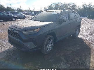 2023 Toyota RAV4, VIN 2T3P1RFV4PC331707. Фото 2 з 6 з аукціону IAAI. Каталог авто зі США OpenDataCar.