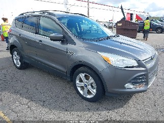 2013 Ford Escape, VIN 1FMCU0GX5DUA53436. Фото 1 з 6 з аукціону IAAI. Каталог авто зі США OpenDataCar.