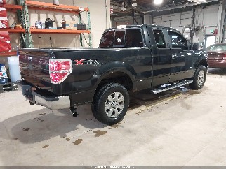 2011 Ford F-150, VIN 1FTFX1ET6BFA67488. Фото 4 з 6 з аукціону IAAI. Каталог авто зі США OpenDataCar.