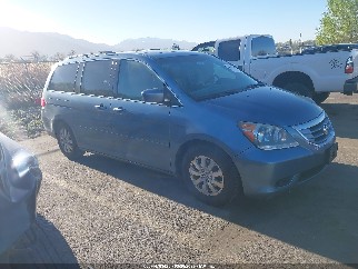 2008 Honda Odyssey, VIN 5FNRL38748B006446. Фото 1 з 6 з аукціону IAAI. Каталог авто зі США OpenDataCar.