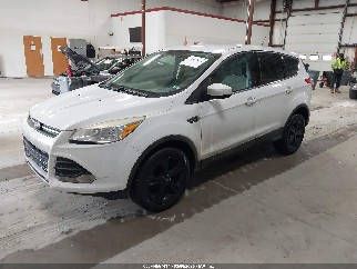 2015 Ford Escape, VIN 1FMCU9GX7FUB64982. Фото 2 з 6 з аукціону IAAI. Каталог авто зі США OpenDataCar.