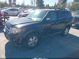 2011 Ford Escape, VIN 1FMCU0D77BKB65586. Фото 2 з 6 з аукціону IAAI. Каталог авто зі США OpenDataCar.