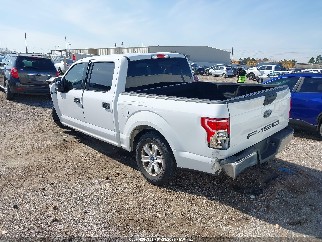 2020 Ford F-150, VIN 1FTEW1CB5LFA37683. Фото 3 з 6 з аукціону IAAI. Каталог авто зі США OpenDataCar.