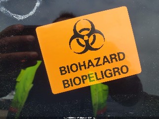 2019 Nissan Altima, VIN 1N4BL4CV7KN314142. Фото 5 з 6 з аукціону IAAI. Каталог авто зі США OpenDataCar.