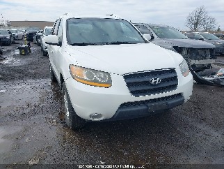 2009 Hyundai Santa Fe, VIN 5NMSG13EX9H314611. Фото 1 з 6 з аукціону IAAI. Каталог авто зі США OpenDataCar.