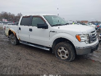 2010 Ford F-150, VIN 1FTEW1E85AFA61058. Фото 1 из 6 с аукциона IAAI. Каталог авто из США OpenDataCar.