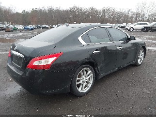 2011 Nissan Maxima, VIN 1N4AA5AP4BC834533. Фото 6 з 6 з аукціону IAAI. Каталог авто зі США OpenDataCar.