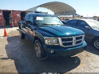 2011 Ram Dakota, VIN 1D7RW3GP2BS533135. Фото 1 из 6 с аукциона IAAI. Каталог авто из США OpenDataCar.