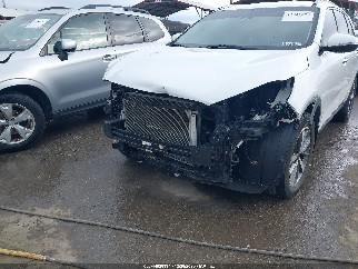 2019 Kia Sorento, VIN 5XYPHDA54KG462888. Фото 6 з 6 з аукціону IAAI. Каталог авто зі США OpenDataCar.