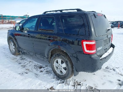 2011 Ford Escape, VIN 1FMCU9DG7BKC55874. Фото 3 з 6 з аукціону IAAI. Каталог авто зі США OpenDataCar.