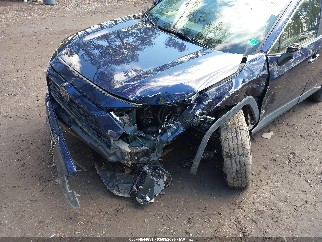2020 Toyota RAV4, VIN JTMP1RFV2LJ036855. Фото 6 з 6 з аукціону IAAI. Каталог авто зі США OpenDataCar.