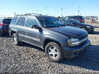 2004 Chevrolet Trailblazer, VIN 1GNDT13S142268780. Фото 1 з 6 з аукціону IAAI. Каталог авто зі США OpenDataCar.