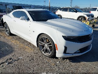 2019 Chevrolet Camaro, VIN 1G1FD1RS9K0156834. Фото 1 з 6 з аукціону IAAI. Каталог авто зі США OpenDataCar.