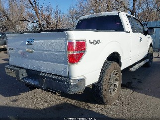 2010 Ford F-150, VIN 1FTFX1EV3AFD20119. Фото 4 з 6 з аукціону IAAI. Каталог авто зі США OpenDataCar.