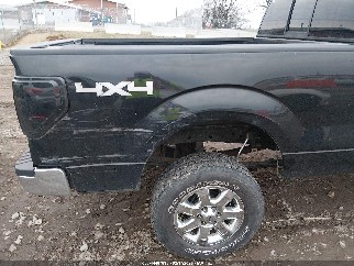 2013 Ford F-150 Lightning, VIN 1FTFW1ET2DFD39041. Фото 6 з 6 з аукціону IAAI. Каталог авто зі США OpenDataCar.