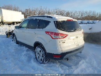 2013 Ford Escape, VIN 1FMCU0G9XDUA12348. Фото 3 з 6 з аукціону IAAI. Каталог авто зі США OpenDataCar.