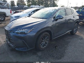 2024 Lexus NX 350, VIN 2T2AGCEZ3RC050351. Фото 2 з 6 з аукціону IAAI. Каталог авто зі США OpenDataCar.