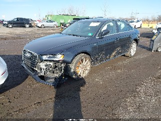 2016 Audi A4, VIN WAUFFAFL2GN009857. Фото 2 з 6 з аукціону IAAI. Каталог авто зі США OpenDataCar.