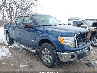 2013 Ford F-150, VIN 1FTFW1ET8DFA96013. Zdjęcie 1 z 6 z aukcji IAAI. Katalog aut z USA OpenDataCar.
