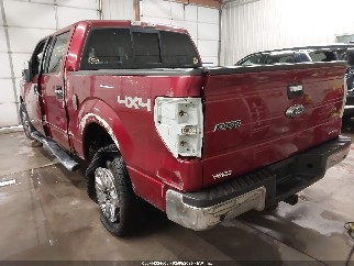 2013 Ford F-150, VIN 1FTFW1EF3DKD22041. Фото 3 з 6 з аукціону IAAI. Каталог авто зі США OpenDataCar.