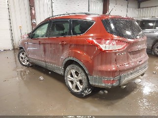 2014 Ford Escape, VIN 1FMCU0GX7EUC17318. Фото 3 из 6 с аукциона IAAI. Каталог авто из США OpenDataCar.