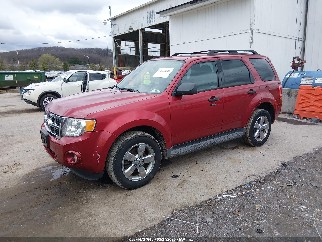 2012 Ford Escape, VIN 1FMCU9DG4CKC22560. Фото 2 из 6 с аукциона IAAI. Каталог авто из США OpenDataCar.