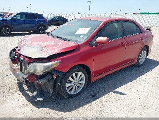 2010 Toyota Corolla, VIN 1NXBU4EE9AZ177774. Фото 2 з 6 з аукціону IAAI. Каталог авто зі США OpenDataCar.