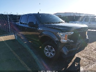 2019 Ford F-150, VIN 1FTEW1EP9KFA05679. Фото 1 из 6 с аукциона IAAI. Каталог авто из США OpenDataCar.