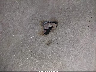 1999 Lincoln Town Car, VIN 1LNHM81W7XY660889. Zdjęcie 6 z 6 z aukcji IAAI. Katalog aut z USA OpenDataCar.