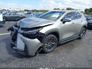 2025 Lexus NX 350h, VIN 2T2AKCEZ6SC047397. Фото 2 из 6 с аукциона IAAI. Каталог авто из США OpenDataCar.