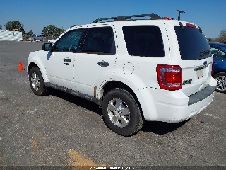 2011 Ford Escape, VIN 1FMCU0D73BKC54345. Фото 3 з 6 з аукціону IAAI. Каталог авто зі США OpenDataCar.