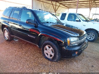 2002 Chevrolet Trailblazer, VIN 1GNDS13SX22498995. Фото 1 з 6 з аукціону IAAI. Каталог авто зі США OpenDataCar.