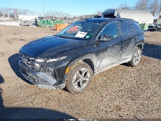 2025 Hyundai Tucson, VIN 5NMJBCDE7SH489344. Фото 2 з 6 з аукціону IAAI. Каталог авто зі США OpenDataCar.